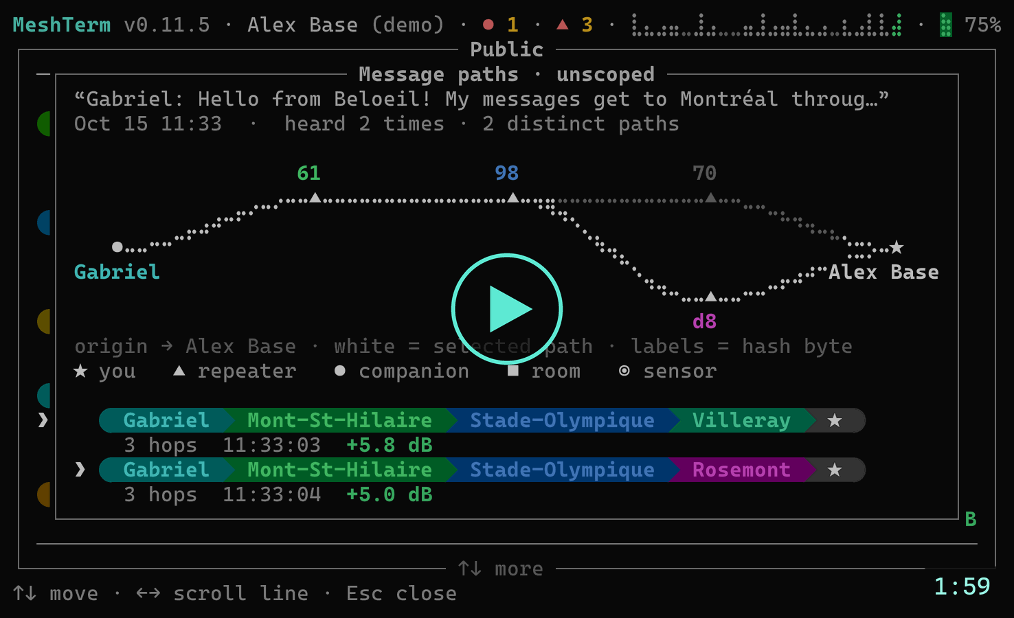 Watch the demo: MeshTerm showing every route a channel message took to arrive